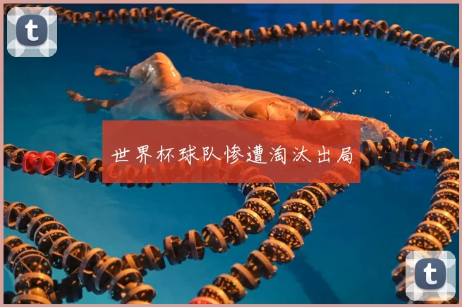 世界杯球队惨遭淘汰出局