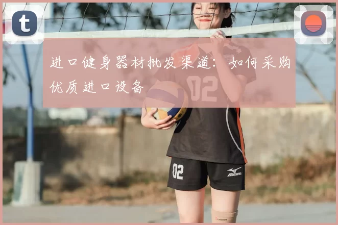 进口健身器材批发渠道：如何采购优质进口设备