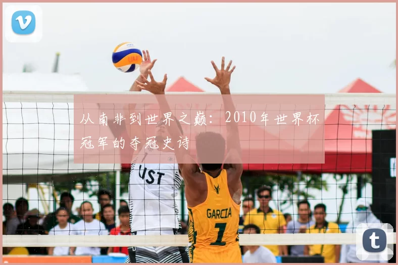 从南非到世界之巅：2010年世界杯冠军的夺冠史诗