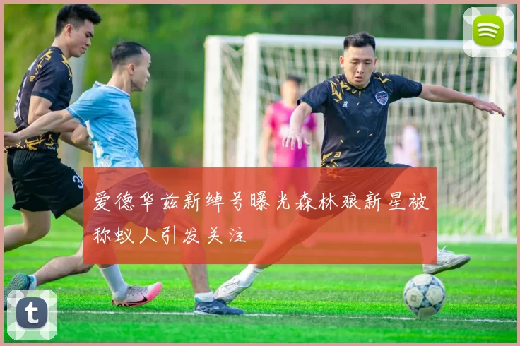 爱德华兹新绰号曝光森林狼新星被称蚁人引发关注