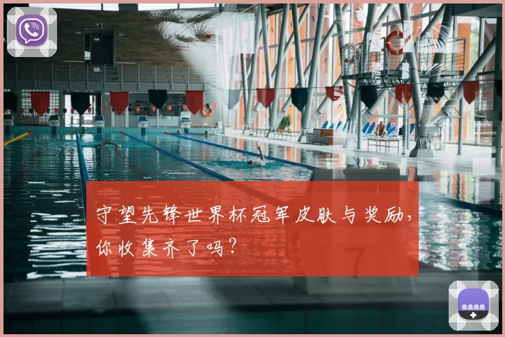 守望先锋世界杯冠军皮肤与奖励,你收集齐了吗?