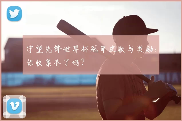 守望先锋世界杯冠军皮肤与奖励,你收集齐了吗?
