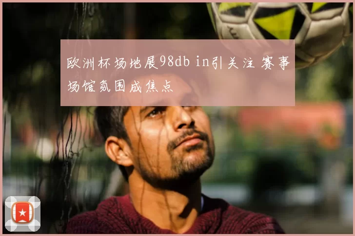 欧洲杯场地展98db in引关注 赛事场馆氛围成焦点