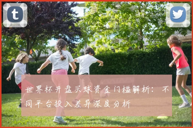 世界杯开盘买球资金门槛解析：不同平台投入差异深度分析