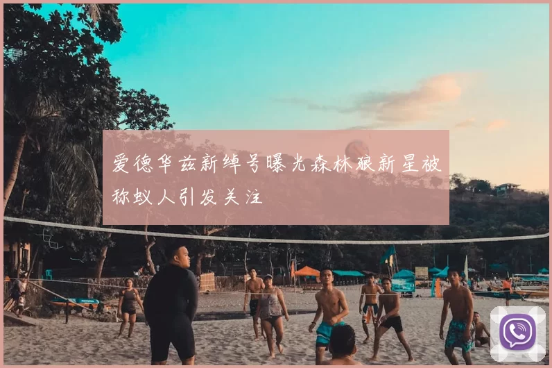 爱德华兹新绰号曝光森林狼新星被称蚁人引发关注